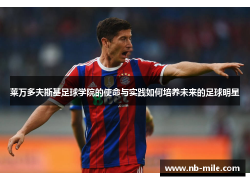 莱万多夫斯基足球学院的使命与实践如何培养未来的足球明星 莱万多夫斯基足球学院的使命与实践如何培养未来的足球明星