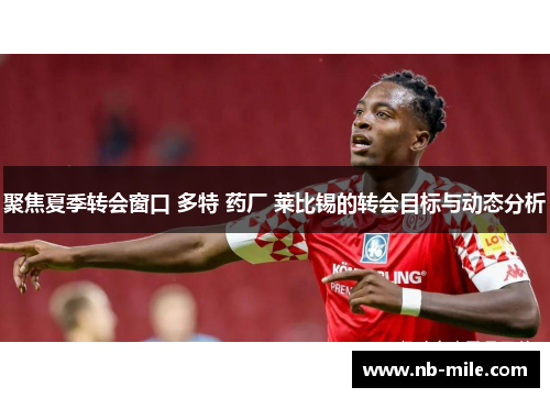 聚焦夏季转会窗口 多特 药厂 莱比锡的转会目标与动态分析 聚焦夏季转会窗口 多特 药厂 莱比锡的转会目标与动态分析