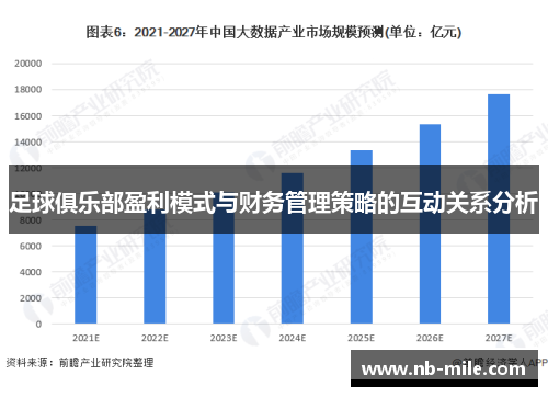 足球俱乐部盈利模式与财务管理策略的互动关系分析 足球俱乐部盈利模式与财务管理策略的互动关系分析